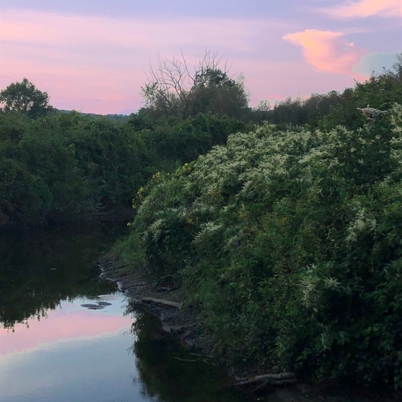 Meet your Posher, Donna - Picture 1 of 1